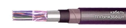 Кабель ТППэпмЗБбШп 100х2х0,5-200