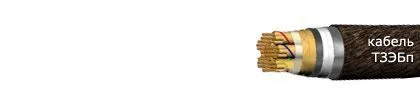 Кабель ТЗЭБп 14х4х0,9