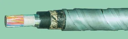 Кабель ТПппПЗБГ 100х2х0,7